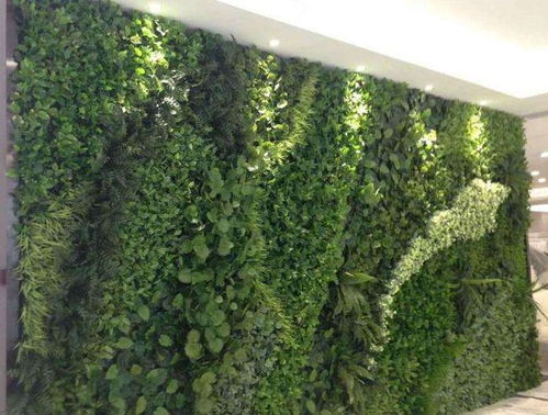 园林垂直绿化苗木植物栽培,建议保养方法和收藏 落叶 网易订阅